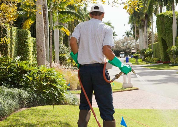 About Elton PA Pest Control Pros